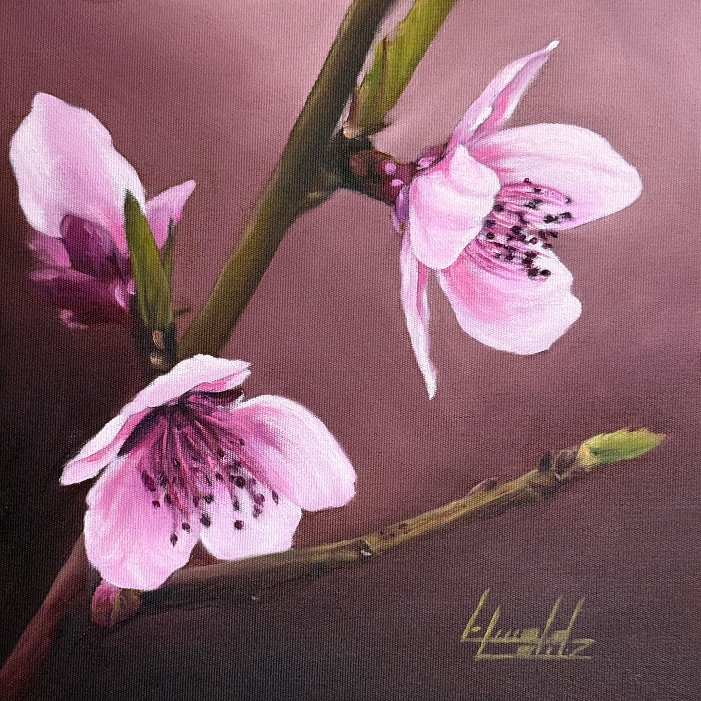 Blossoms