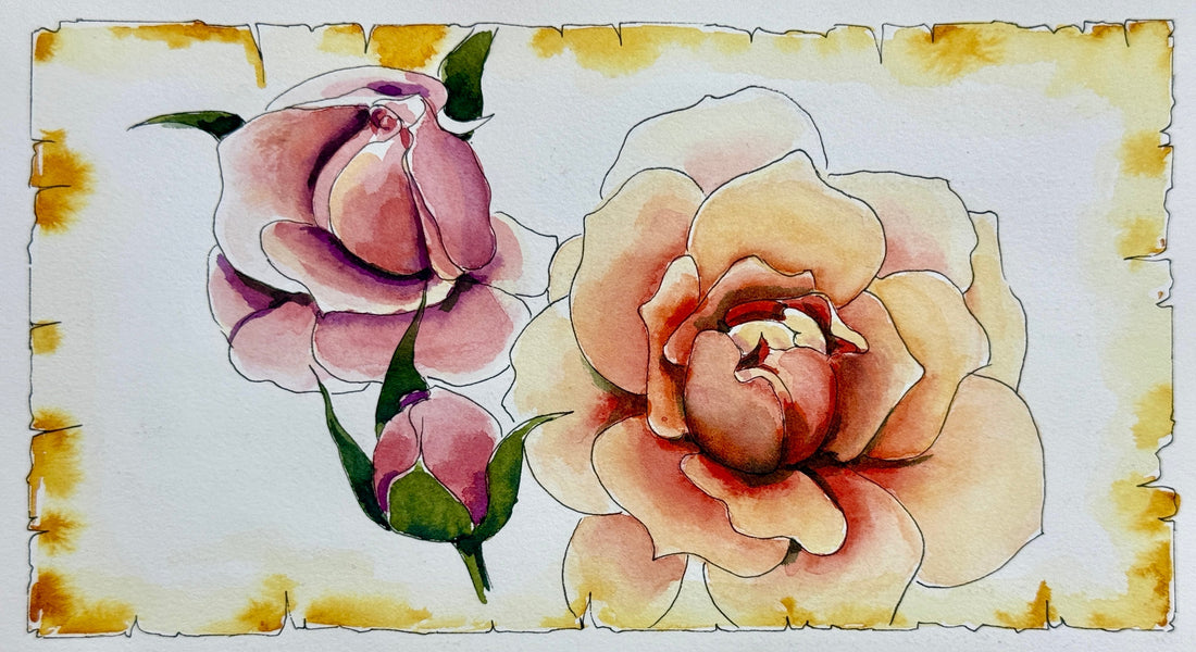 3 Nov 2025 ~ SARAH’S ROSES
