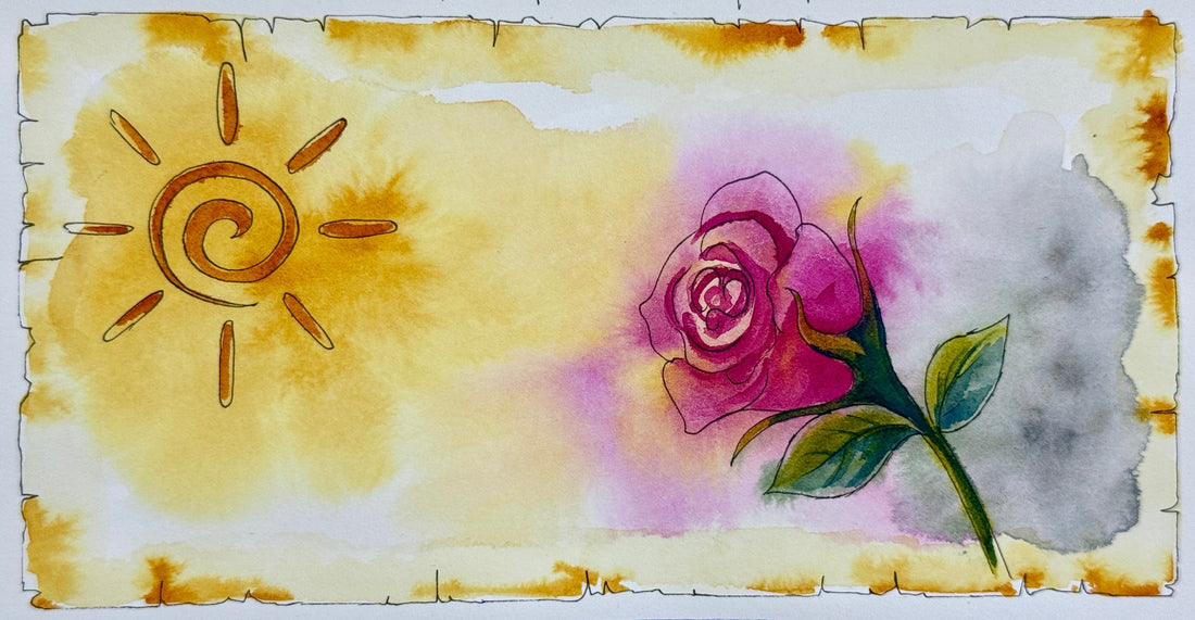 20 Nov 2025 ~ FACE TO THE SUN